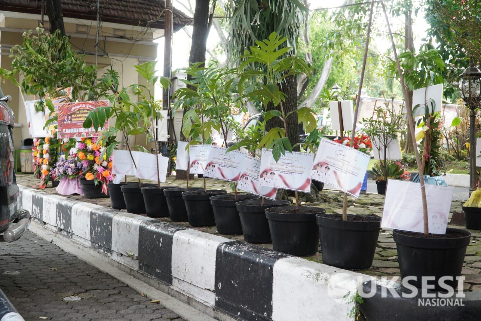 Unik ! Pemkab Lamongan Ganti Karangan Bunga dengan Bibit Pohon