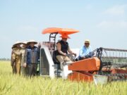 Jelang Ramadhan, DKPP Pastikan Stok Beras di Lamongan Aman