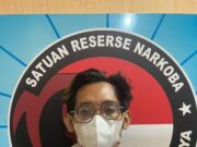 Tanam Puluhan Pohon Ganja, Pria Krembangan Ditangkap Polrestabes Surabaya