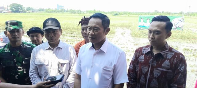 IMG-20250407-WA0046(1)