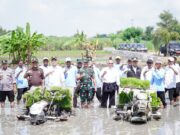 Wujudkan Swasembada Pangan, LTT Lamongan Hingga Bulan April – 2025 Capai 28,30 Persen