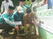 Bupati Tanbu Dukung Gerakan Penanaman 1 Juta Pohon digagas Kemenag RI