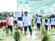 Tanam Padi Serentak, Bupati Lamongan Pastikan Ketersediaan Pupuk Aman