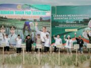 Bupati Andi Rudi Latif Pimpin Penanaman Padi Serentak diarea Persawahan Gunung Tinggi Batulicin