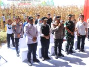 Kapolda Jatim Bersama Forkopimda Panen Raya Jagung di Ngawi