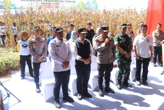 Kapolda Jatim Bersama Forkopimda Panen Raya Jagung di Ngawi