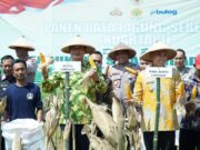 Industri Pengelolaan Pakan Ternak Terbesar Se Asia Tenggara Bakal Dibangun di Lamongan