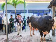 Bupati Lamongan Serahkan Sapi Kurban Milik Presiden Prabowo Seberat 1,18 Ton