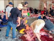 Jurnalis KOMPAK Sembelih Dua Ekor Sapi & Tiga Ekor Kambing Pada Idul Adha 1446 H