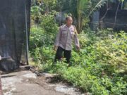 Polres Nganjuk Apresiasi Warga Gondang Pace Manfaatkan Pekarangan Jadi Sumber Pangan & Ekonomi