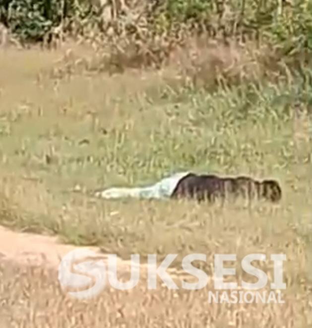 Screenshot_20250630_094340_WhatsApp