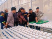 Terima Kunker Anggota Komisi IX DPR RI, Joko Ibrahim : Menambah Spirit Baru Bumdes Ngudi Sejahtera