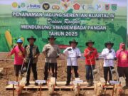 Gerakan Nasional Polres Tanah Bumbu Laksanakan Kegiatan Tanam Jagung Serentak Kuartal IV Tahun 2025