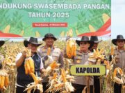 Kapolda Kalsel Puji Polsek Satui Polres Tanah Bumbu , Manfaatkan Lahan Tidur Jadi Lahan Produktif