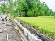 Gapoktan Makmur Sejahtera Siap Dukung Ketahanan Pangan