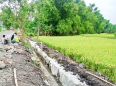 Gapoktan Makmur Sejahtera Siap Dukung Ketahanan Pangan