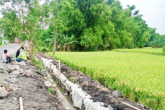 Gapoktan Makmur Sejahtera Siap Dukung Ketahanan Pangan