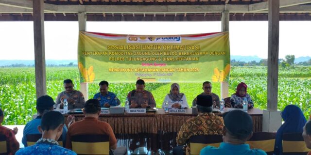 WhatsApp-Image-2025-10-17-at-16.28.10-1140x570