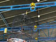 Dinas lingkungan Hidup Tulungagung adakan Pameran Lomba Burung Berkicau Tingkat Nasional Bupati Cup 2025