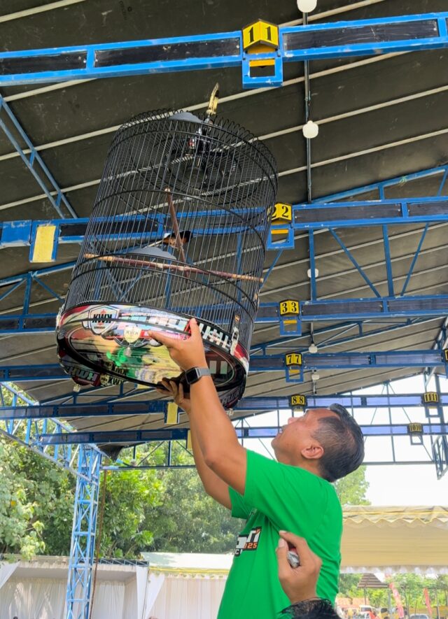 Screenshot_2025-11-27-09-52-38-971_com.miui.gallery-edit