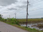 Dishub Jombang Siapkan Langkah Perbaikan Total PJU Ngusikan Setelah Terima Keluhan Masyarakat