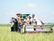 Luas Tambah Tanam Di Lamongan Lampaui Target Nasional