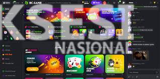 Warunki korzystania z BC Game - Klucz do bezpiecznej gry