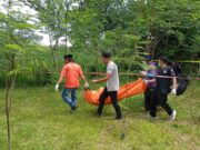 Polsek Kedungwaru Tangani Temuan Mayat Gantung Diri di Perkebunan Desa Gendingan