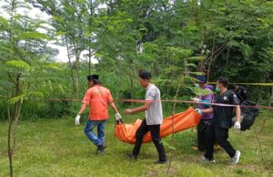 Polsek Kedungwaru Tangani Temuan Mayat Gantung Diri di Perkebunan Desa Gendingan