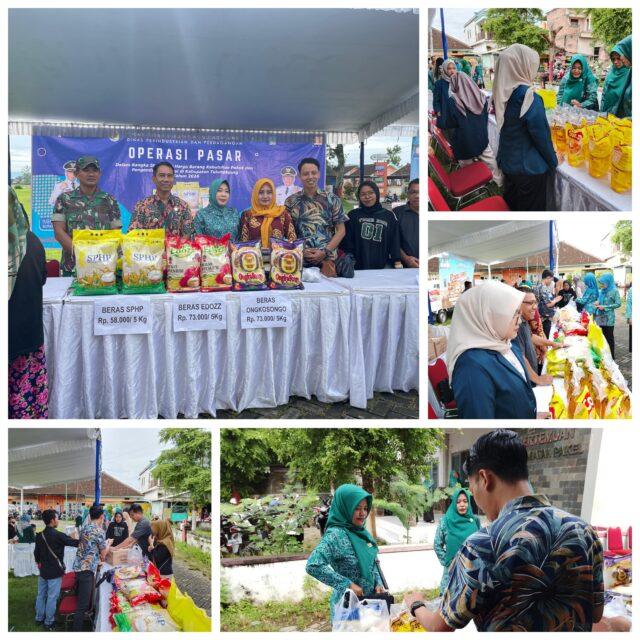 GridArt_20260226_092306492