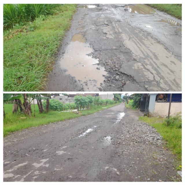 InCollage_20260228_094235160