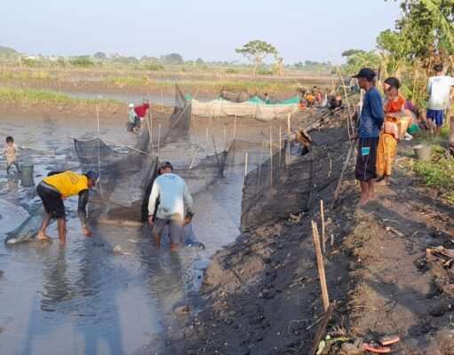 Dampak Banjir & Pupuk, Petani Tambak Merugi Hingga 70 Persen, Keluhkan Biaya Musim Tanam Padi
