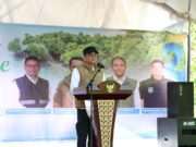 Cegah Abrasi dan Tingkatkan Kesejahteraan Masyarakat Pesisir, Bupati Andi Rudi Larif dan Kaka Slank Tanam Magrove di Pesisir Tanah Bumbu