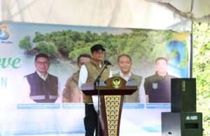 Cegah Abrasi dan Tingkatkan Kesejahteraan Masyarakat Pesisir, Bupati Andi Rudi Larif dan Kaka Slank Tanam Magrove di Pesisir Tanah Bumbu