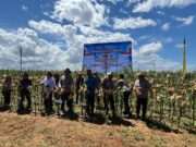 Polres Tanah Bumbu Ikuti Panen Raya Jagung Serentak Kuartal II dan Launching SPPG Polri