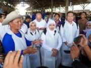 Lamongan Masih Menjadi Daerah Dengan Ketersediaan Sapi Terbesar di Jawa Timur