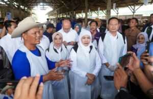 Lamongan Masih Menjadi Daerah Dengan Ketersediaan Sapi Terbesar di Jawa Timur