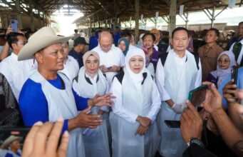 Lamongan Masih Menjadi Daerah Dengan Ketersediaan Sapi Terbesar di Jawa Timur