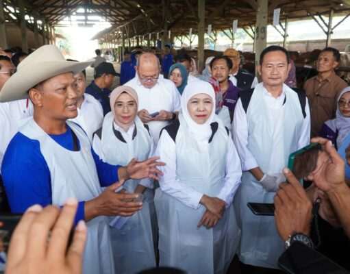 Lamongan Masih Menjadi Daerah Dengan Ketersediaan Sapi Terbesar di Jawa Timur