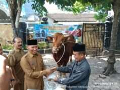 Bantuan Sapi Kurban Presiden Prabowo Diserahkan Langsung Plt Bupati Tulungagung Kepada Takmir Masjid Syariful Muttaqin