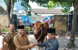 Bantuan Sapi Kurban Presiden Prabowo Diserahkan Langsung Plt Bupati Tulungagung Kepada Takmir Masjid Syariful Muttaqin