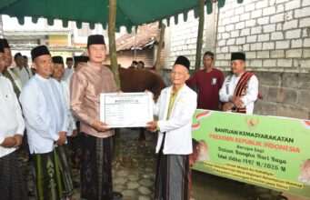 Sapi Kurban Presiden RI Disembelih di Mantup