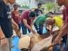Ketua DPRD Lamongan Tak Hanya Berqurban, Namun Turut Membaur Dengan Panitia Qurban & Masyarakat