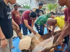 Ketua DPRD Lamongan Tak Hanya Berqurban, Namun Turut Membaur Dengan Panitia Qurban & Masyarakat