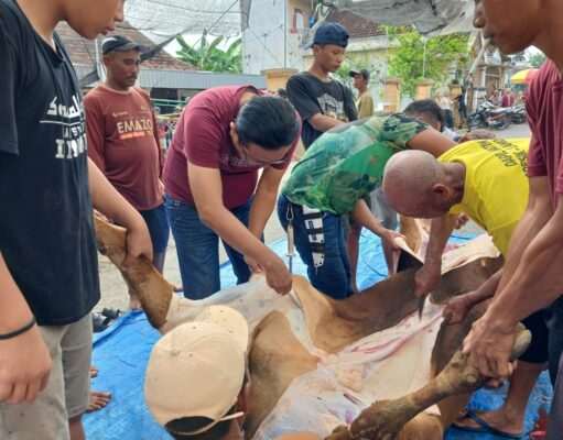 Ketua DPRD Lamongan Tak Hanya Berqurban, Namun Turut Membaur Dengan Panitia Qurban & Masyarakat