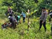 Pria Paruh Baya Empat Hari Tak Pulang Kerumah Ditemukan Meninggal Membusuk di Kebun Pisang Satui Tanah Bumbu