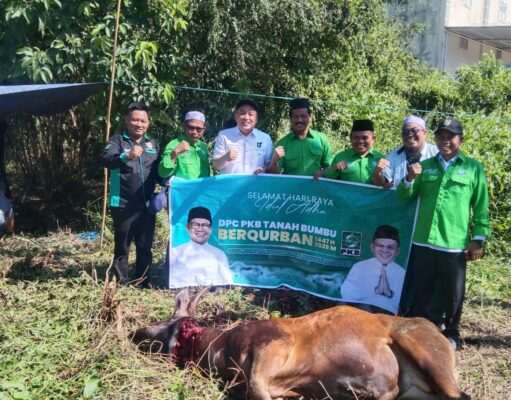 Ketua PKB Tanah Bumbu Tebar Kepedulian Idul Adha 1447 H, 12 Ekor Sapi Qurban Dibagikan untuk Warga
