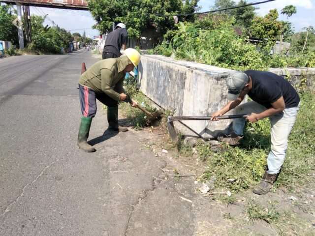 IMG-20260529-WA0064