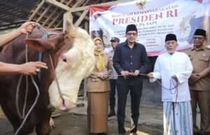 Mas Syah Serahkan Sapi Kurban Presiden Prabowo untuk Warga Trenggalek