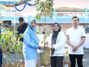 Hari Lingkungan Hidup Sedunia 2026, Pemkab Tanah Bumbu Distribusikan Bibit Tanaman untuk Penghijauan